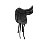 Pony Dressage Pro