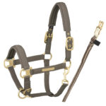 HERITAGE Halter with Double Buckle "GLITTER" Set, Plaza Taupe, Extra Warmblood