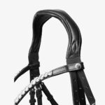 Somerset Anatomical Bridle