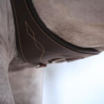 Leather belt, anatomically shaped - Image 4