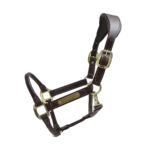 Anatomically shaped leather halter