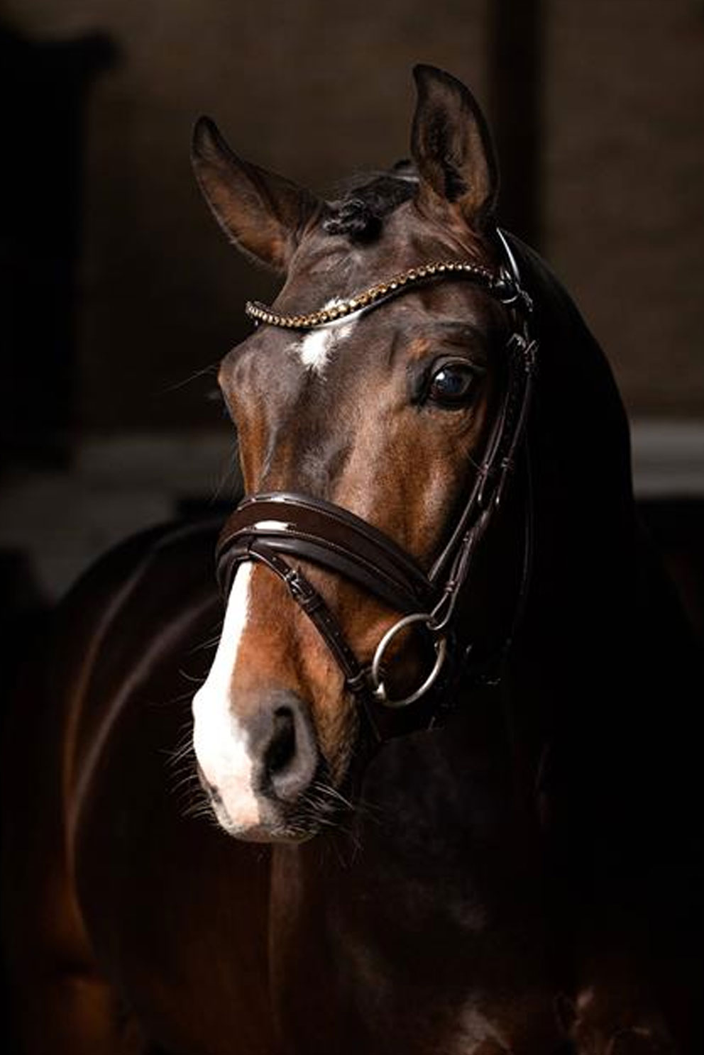 brown-brown-1 Kudos dressage bridle, patent leather, black and white - Image 1