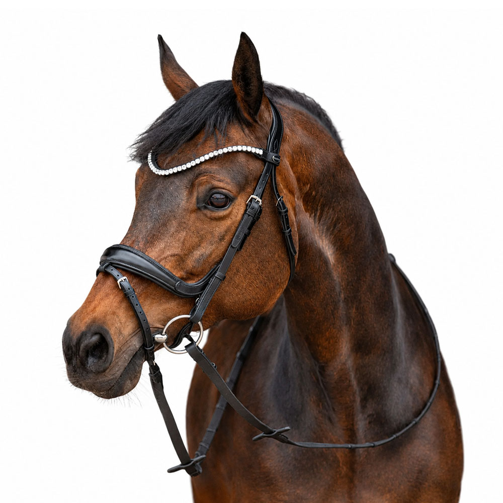 fantastic-bridle-1 Fantastic Bridle - Image 1